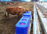 Dòng chảy liên tục Máng uống nước cho gia súc bằng nhựa tự động để quay máng uống