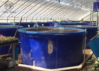 Sản phẩm Rotomold M5000L, Mở Bể nước Aquaponics tròn 1300 Blue